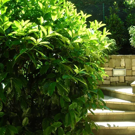 Bed & Breakfast La Folaga
